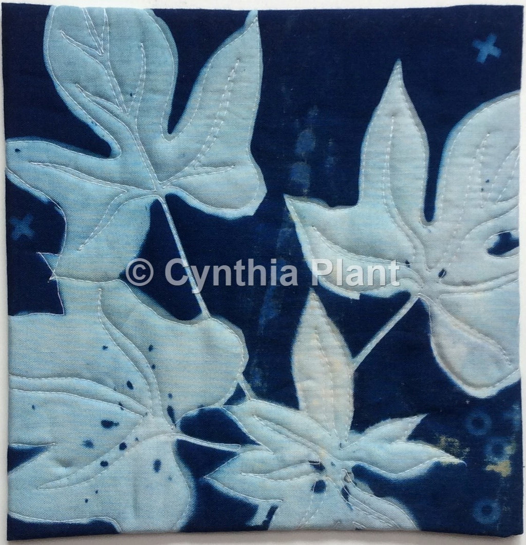 Cyanotype Leaves 2